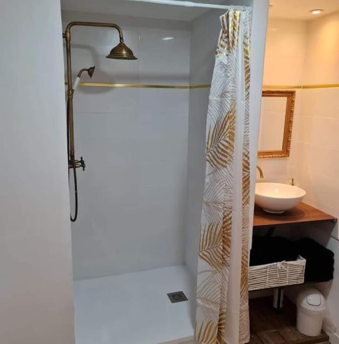 Apartamento Le « Saint-Just » Rodez Exterior foto